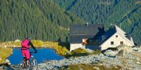 Challenge yourself on your MTB in the Silvretta Arena